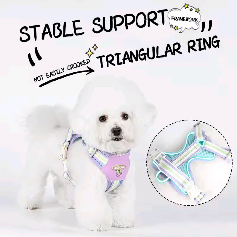 A white dog wearing a purple harness is shown next to an illustration of a triangular ring framework for stable support.