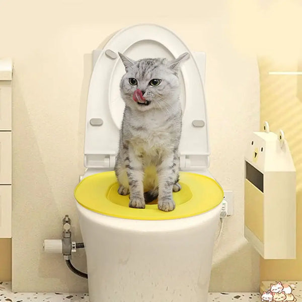 A gray cat is sitting on a yellow reusable toilet training seat inside a white toilet bowl.