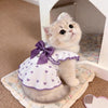 A fluffy light cream cat wearing a purple bow print dress sitting in a white pet carrier.