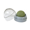 A clear plastic dome shaped catnip toy with a green, textured ball inside, resting in a gray plastic holder.
