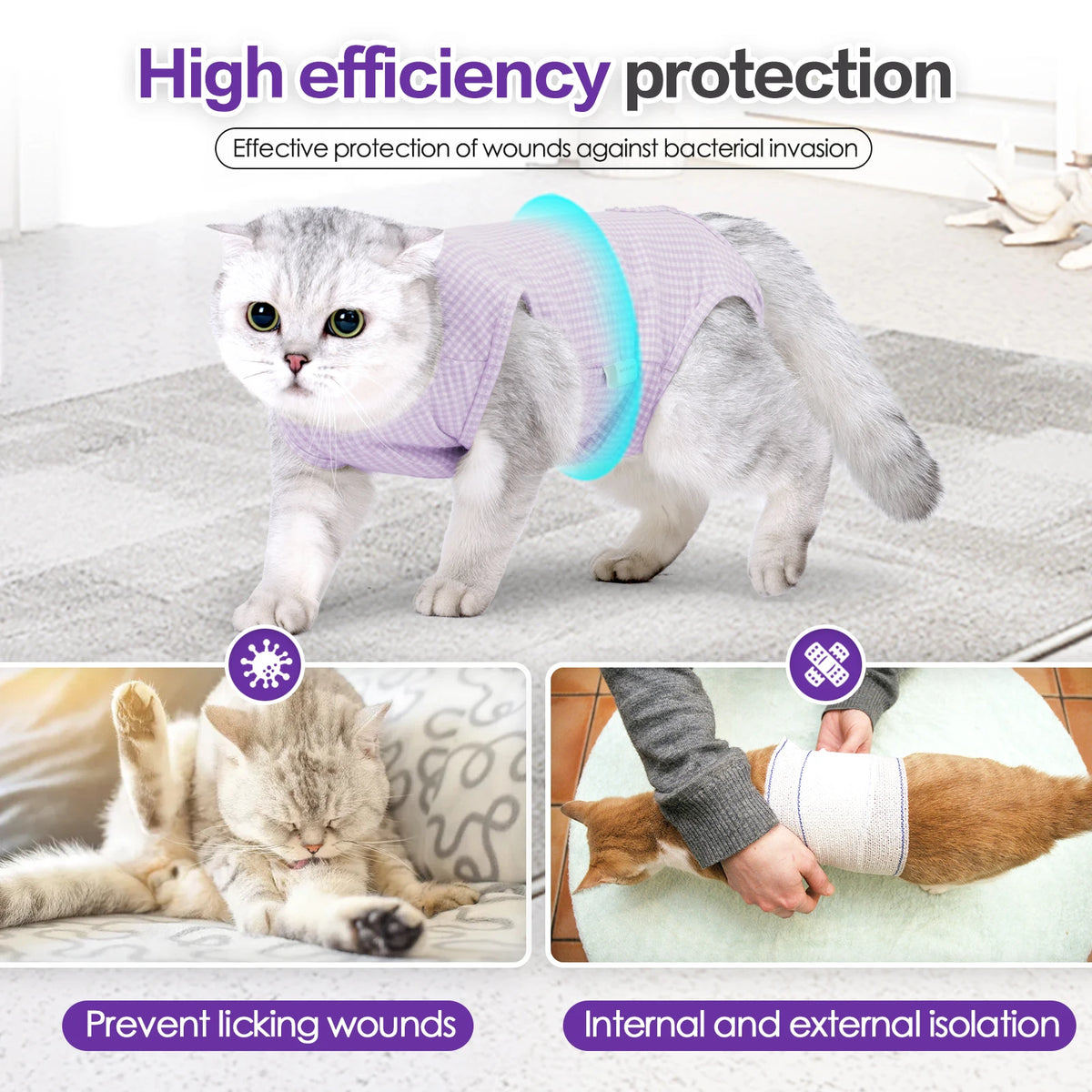 Chat gris duveteux portant une combinaison vétérinaire violette pour une protection haute efficacité contre les invasions bac
