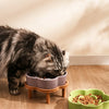 A tabby cat is eating kibble from a purple ceramic slow feeder bowl placed on a wooden stand.