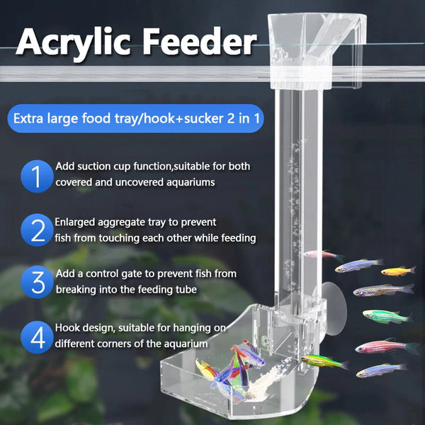 Alimenteur en acrylique avec ventouse, bac d'agrégats et crochet pour nourrir les poissons dans un aquarium