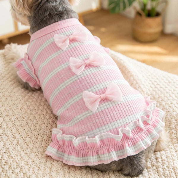 Stunning 3D Mesh Bow Dog Suit