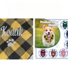 Pañuelo a cuadros amarillo y negro con el nombre Kodak bordado, rodeado de otras opciones de nombres para perros.